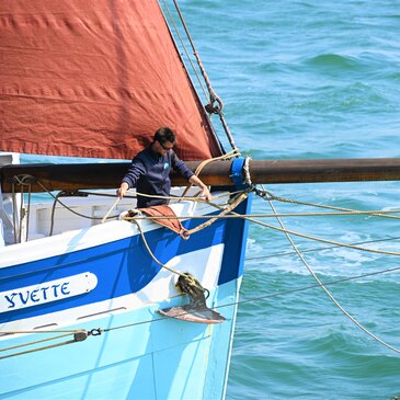 Baden, Morbihan (56) - Balade en bateau