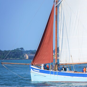 Réserver Balade en bateau département Morbihan