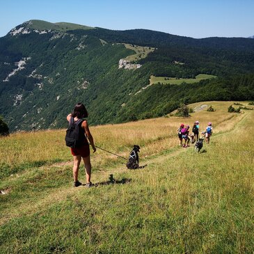 Montagne - Sports d&#39;Hiver en région Rhône-Alpes