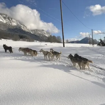 Montagne - Sports d&#39;Hiver en région Rhône-Alpes