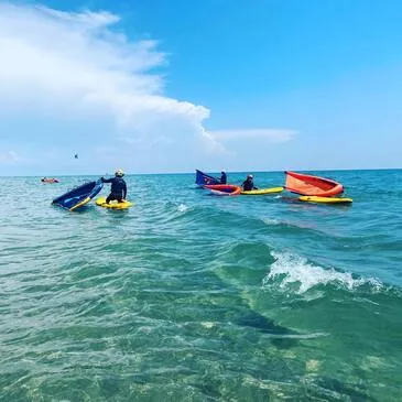 Palavas-les-Flots, Hérault (34) - Surf et Sport de Glisse Palavas-les-Flots, Hérault (34) - Surf et Sport de Glisse