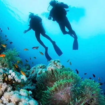 Baptême de Plongée près de Saint Paul à La Réunion Baptême de Plongée près de Saint Paul à La Réunion