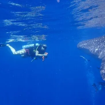 Baptême de plongée en région Outre-Mer Baptême de plongée en région Outre-Mer