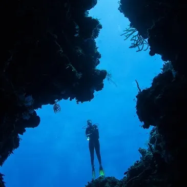 Réserver Baptême de plongée département Ile de la Réunion Réserver Baptême de plongée département Ile de la Réunion