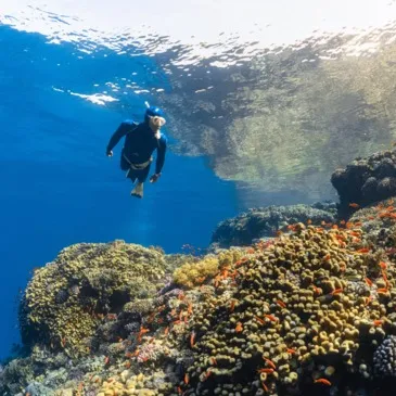 Marseille, Bouches du Rhône (13) - Baptême de plongée Marseille, Bouches du Rhône (13) - Baptême de plongée