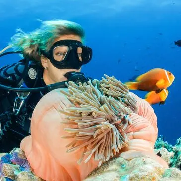 Initiation à la Plongée dans le Parc national des Calanques en région PACA et Corse Initiation à la Plongée dans le Parc national des Calanques en région PACA et Corse