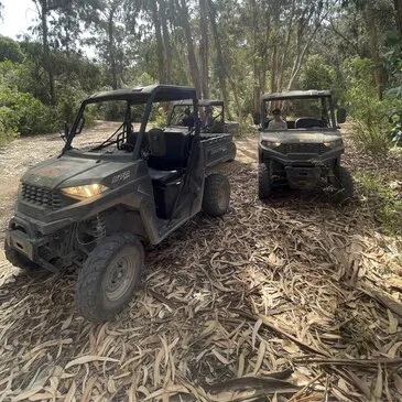 Porticcio, Corse du Sud (2A) - Quad & Buggy Porticcio, Corse du Sud (2A) - Quad & Buggy
