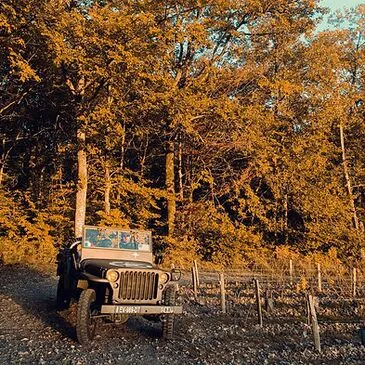 Réserver City Tour en Centre Réserver City Tour en Centre