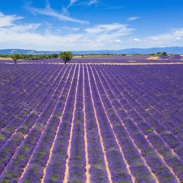Baptême en Planeur Motorisé dans le Verdon en région PACA et Corse Baptême en Planeur Motorisé dans le Verdon en région PACA et Corse