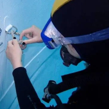 Toulouse, Haute Garonne (31) - Brevet de Plongée Sous Marine Toulouse, Haute Garonne (31) - Brevet de Plongée Sous Marine