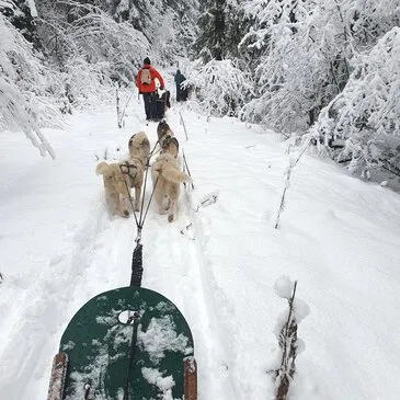 Haute savoie (74) Rhône-Alpes - Montagne - Sports d'Hiver Haute savoie (74) Rhône-Alpes - Montagne - Sports d'Hiver