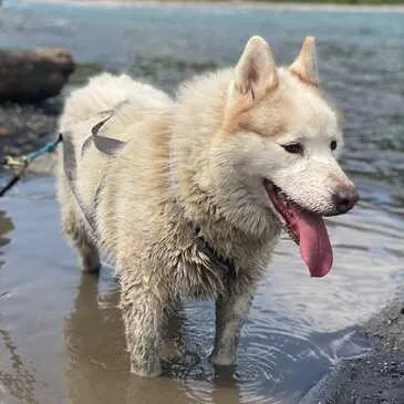 Haute savoie (74) Rhône-Alpes - Montagne - Sports d'Hiver Haute savoie (74) Rhône-Alpes - Montagne - Sports d'Hiver