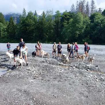 Vailly, à 20 min de Thonon-les-Bains, Haute savoie (74) - Chien de Traîneau Vailly, à 20 min de Thonon-les-Bains, Haute savoie (74) - Chien de Traîneau