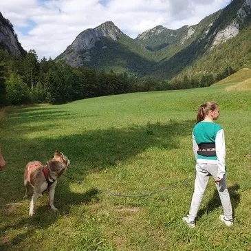 Balade en Cani-Rando près de Thonon-les-Bains en région Rhône-Alpes Balade en Cani-Rando près de Thonon-les-Bains en région Rhône-Alpes