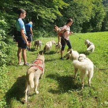 Montagne - Sports d'Hiver en région Rhône-Alpes Montagne - Sports d'Hiver en région Rhône-Alpes