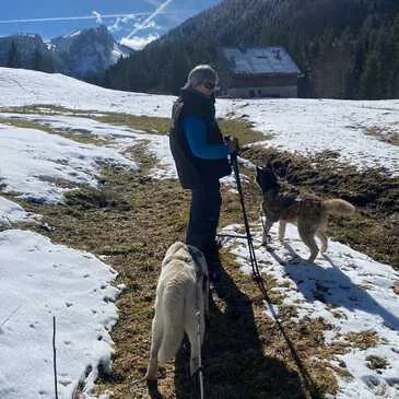 Réserver Chien de Traîneau en Rhône-Alpes Réserver Chien de Traîneau en Rhône-Alpes