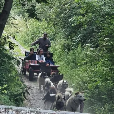 Promenade en Cani-kart près de Thonon-les-Bains en région Rhône-Alpes Promenade en Cani-kart près de Thonon-les-Bains en région Rhône-Alpes