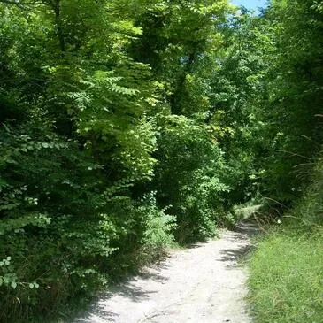 Eure (27) Normandie - Stage de Pilotage Eure (27) Normandie - Stage de Pilotage