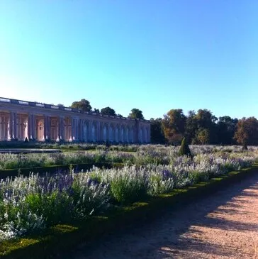 Versailles, Yvelines (78) - Activité Insolite Versailles, Yvelines (78) - Activité Insolite