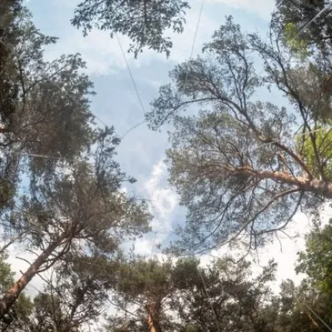 Nuit en Bulle près de Digne-les-Bains en région PACA et Corse Nuit en Bulle près de Digne-les-Bains en région PACA et Corse