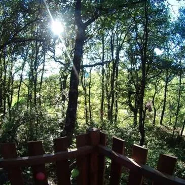 Nuit en Cabane dans les Arbres près de Digne-les-Bains en région PACA et Corse Nuit en Cabane dans les Arbres près de Digne-les-Bains en région PACA et Corse