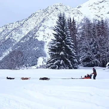 Randonnée en Chiens de Traîneau à Barèges Randonnée en Chiens de Traîneau à Barèges