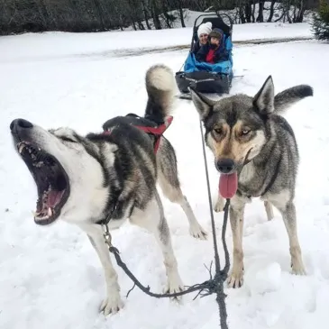Hautes pyrénées (65) Midi-Pyrénées - Montagne - Sports d'Hiver Hautes pyrénées (65) Midi-Pyrénées - Montagne - Sports d'Hiver