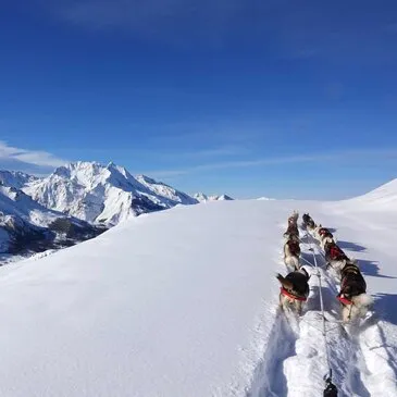 Randonnée en Chiens de Traîneau à Barèges en région Midi-Pyrénées Randonnée en Chiens de Traîneau à Barèges en région Midi-Pyrénées