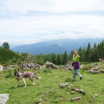 Balade en Cani-Rando au Val d'Azun Balade en Cani-Rando au Val d'Azun
