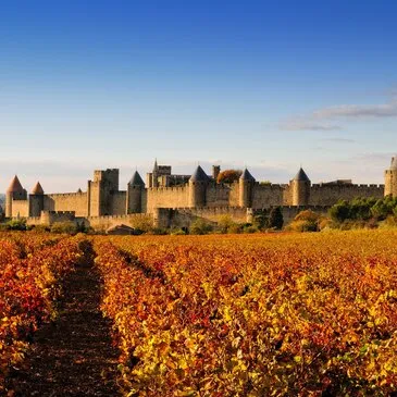 Nuit en Cabane sur Pilotis avec Jacuzzi Privé près de Carcassonne Nuit en Cabane sur Pilotis avec Jacuzzi Privé près de Carcassonne