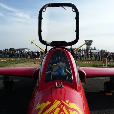 Vol avion de chasse, département Paris Vol avion de chasse, département Paris