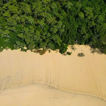 Baptême de l'air hélicoptère proche Aérodrome d'Arcachon-La Teste-de-Buch Baptême de l'air hélicoptère proche Aérodrome d'Arcachon-La Teste-de-Buch