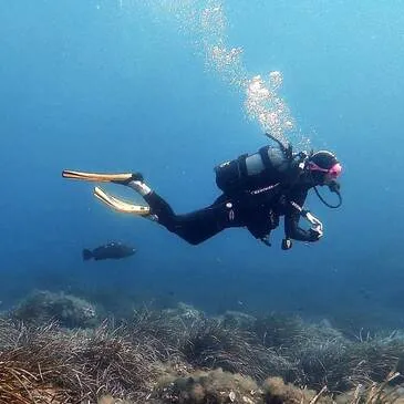 Brevet de plongée Niveau 1 près de Grenoble Brevet de plongée Niveau 1 près de Grenoble