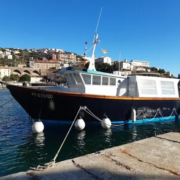 Snorkeling, département Pyrénées orientales Snorkeling, département Pyrénées orientales
