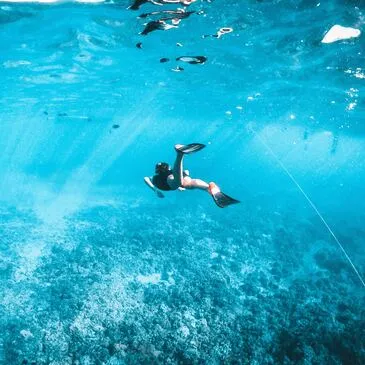 Pyrénées orientales (66) Languedoc-Roussillon - Sport Aquatique Pyrénées orientales (66) Languedoc-Roussillon - Sport Aquatique