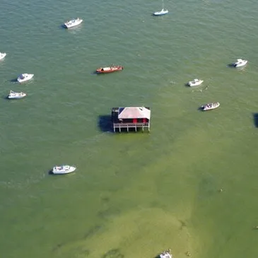 Offrir Pilotage ULM département Landes Offrir Pilotage ULM département Landes