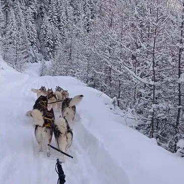 Alpes Maritimes (06) PACA et Corse - Montagne - Sports d'Hiver Alpes Maritimes (06) PACA et Corse - Montagne - Sports d'Hiver