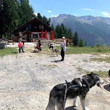 Alpes Maritimes (06) PACA et Corse - Montagne - Sports d'Hiver Alpes Maritimes (06) PACA et Corse - Montagne - Sports d'Hiver