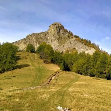 Montagne - Sports d'Hiver en région PACA et Corse Montagne - Sports d'Hiver en région PACA et Corse