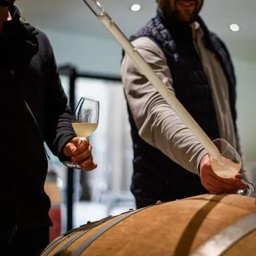 Cours d'œnologie, département Vendée Cours d'œnologie, département Vendée