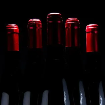 Initiation à l'Œnologie et Visite de Cave à la Roche-sur-Yon en région Pays-de-la-Loire Initiation à l'Œnologie et Visite de Cave à la Roche-sur-Yon en région Pays-de-la-Loire