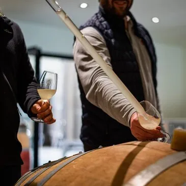 Cours d&#39;œnologie en région Pays-de-la-Loire