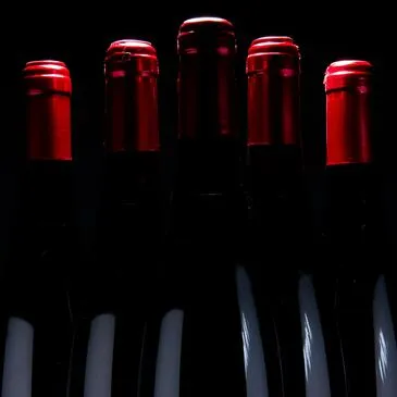 Cours d&#39;œnologie proche Mouilleron-le-Captif