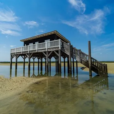Baptême en Hélicoptère - Survol de l'Île aux Oiseaux Baptême en Hélicoptère - Survol de l'Île aux Oiseaux