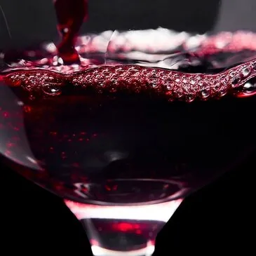 Cours d'œnologie, département Maine et loire Cours d'œnologie, département Maine et loire