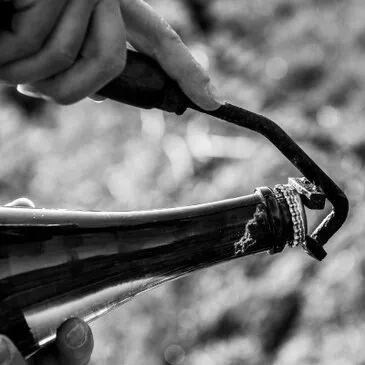Cours d'œnologie en région Champagne-Ardenne Cours d'œnologie en région Champagne-Ardenne