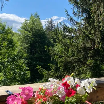 Haute savoie (74) Rhône-Alpes - Week end Haute savoie (74) Rhône-Alpes - Week end