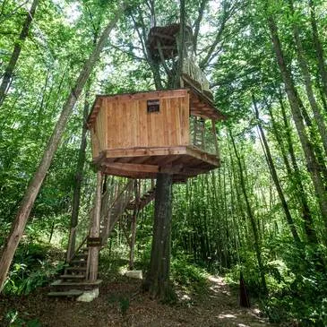 Cabane dans les Arbres près de Saint-Marcellin Cabane dans les Arbres près de Saint-Marcellin