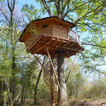 Cabane dans les Arbres près de Châteauroux Cabane dans les Arbres près de Châteauroux