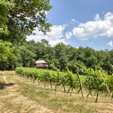 Réserver Weekend et Hébergement Insolite département Gironde Réserver Weekend et Hébergement Insolite département Gironde